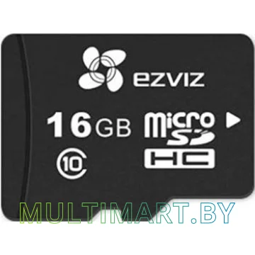 Карта памяти Ezviz microSDHC 16GB (CS-CMT-CARDT16G)